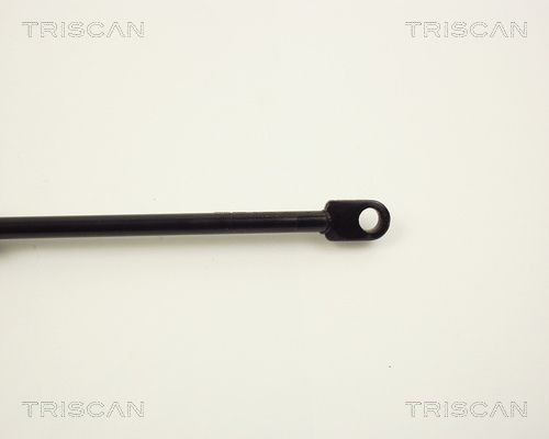 TRIS8710353_3.JPG