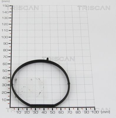 гарнитура TRISCAN