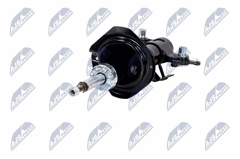Amort, NTY A-NS-015