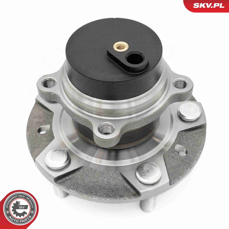 ESEN SKV 29SKV620 Wheel Bearing Kit