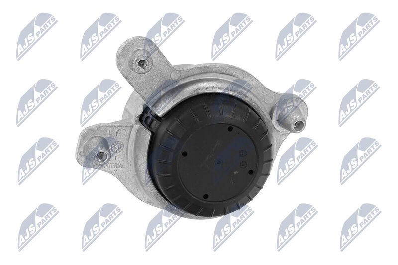 Paigutus, Mootor, NTY ZPS-ME-018