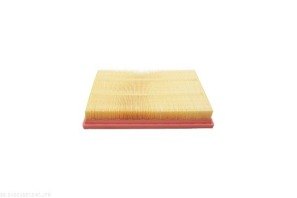 AUTOMEGA 250050910 Air Filter