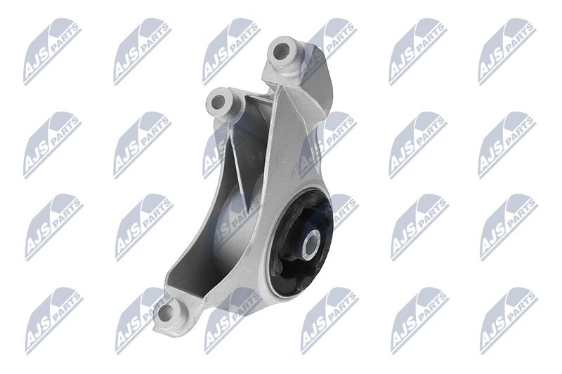 Paigutus, Mootor, NTY ZPS-CH-149