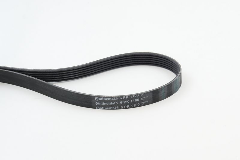 CONTINENTAL CTAM 6PK1100 V-Ribbed Belt