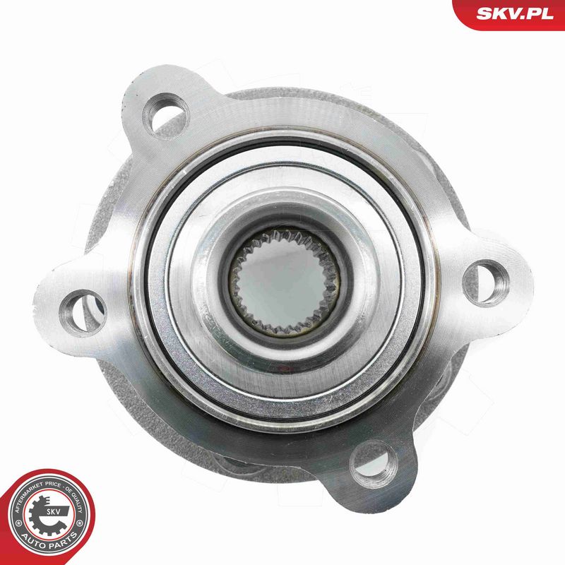 ESEN SKV 29SKV591 Wheel Bearing Kit