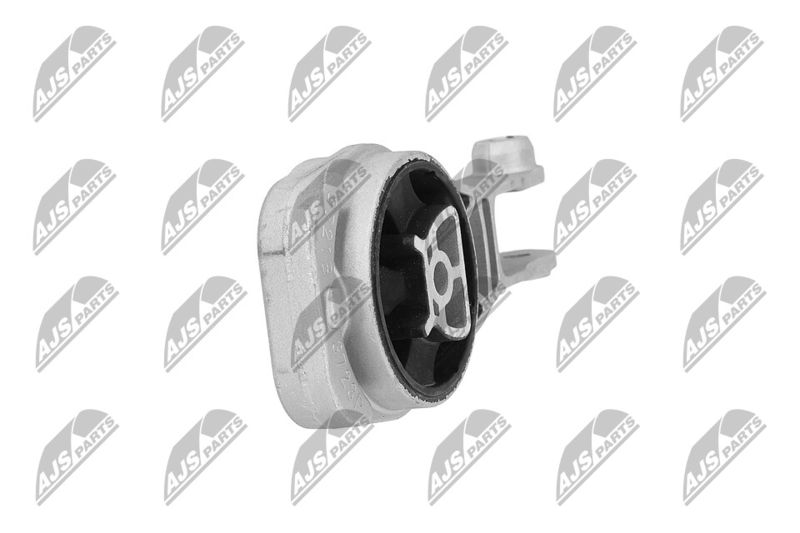 Paigutus, Mootor, NTY ZPS-PL-080