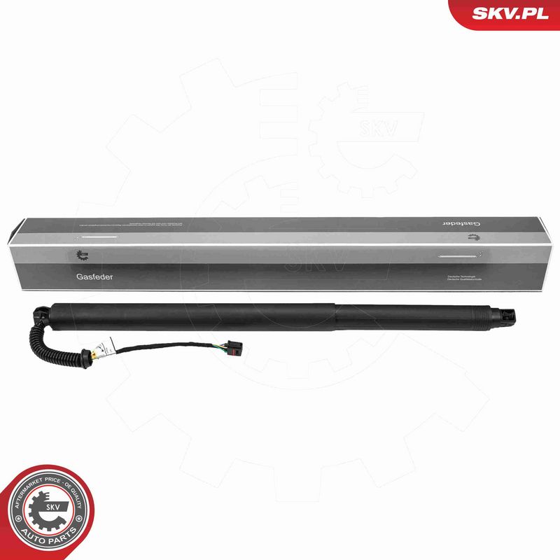 ESEN SKV 52SKV253 - Electric Motor, tailgate