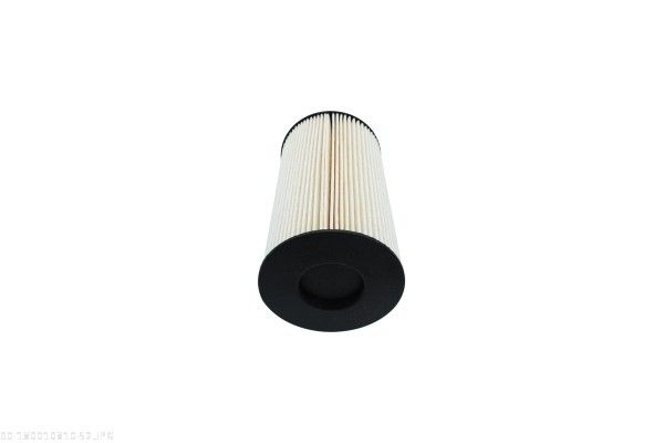 AUTOMEGA 180010810 Fuel Filter