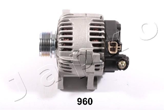 2M960_1.JPG