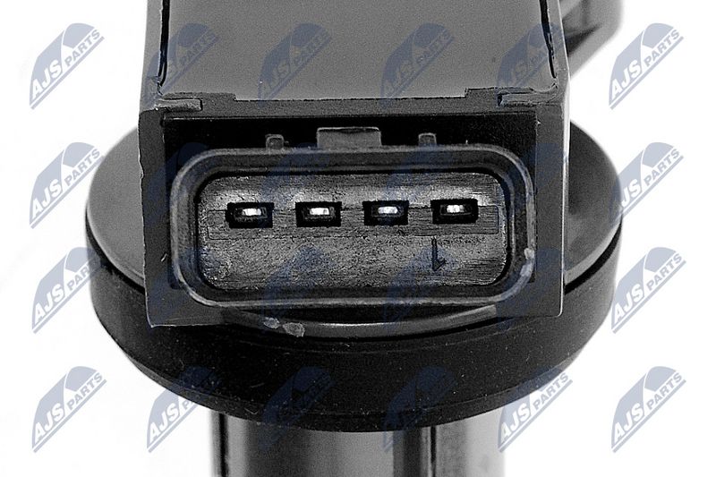 Süütepool, NTY ECZ-TY-012