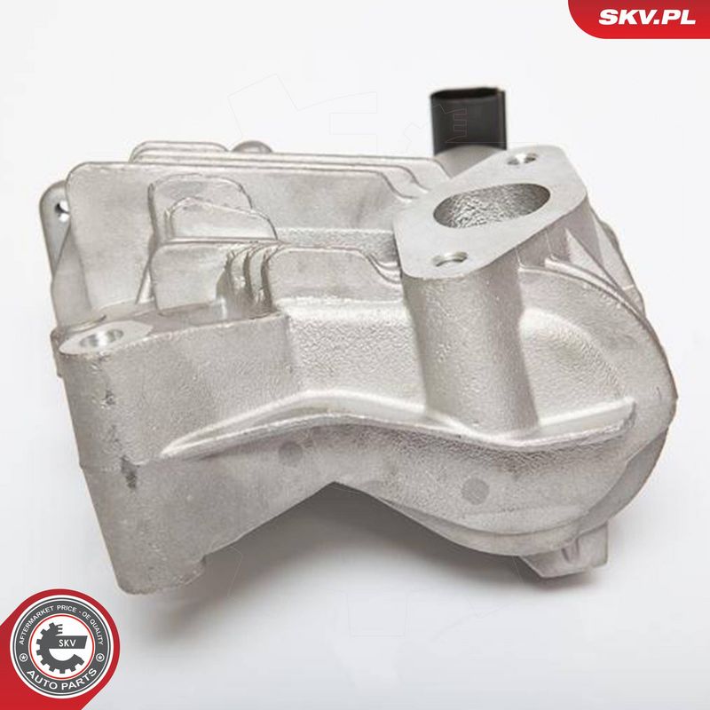 ESEN SKV 14SKV036 EGR Valve