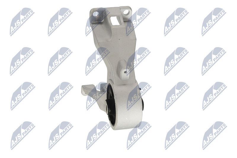 Paigutus, Mootor, NTY ZPS-CH-105