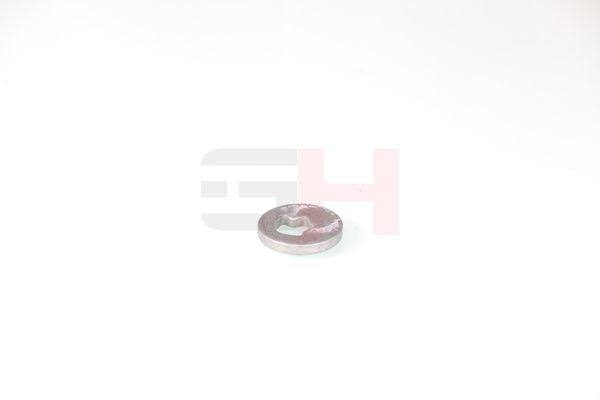 caster shim, sillatala, GH GH-391582