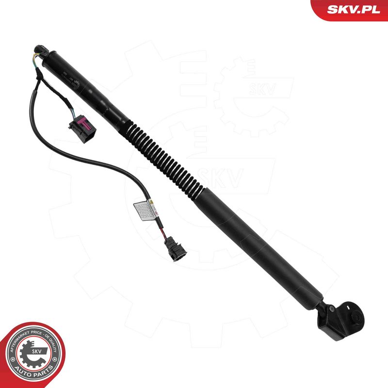 ESEN SKV 52SKV874 Electric Motor, tailgate