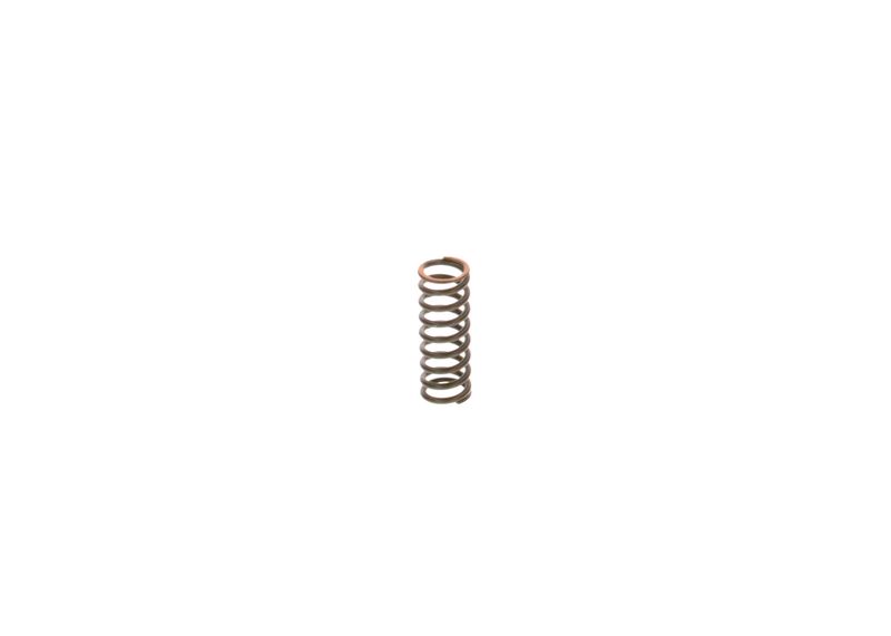 BOSCH 2444618009 Spring