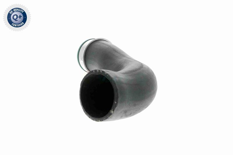 VAICO V10-3816 Charge Air Hose