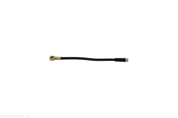 AUTOMEGA 120013110 Brake Hose