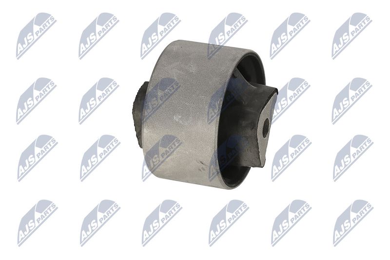 Paigutus, Mootor, NTY ZPS-CH-040