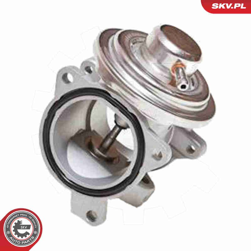 ESEN SKV 14SKV034 EGR Valve