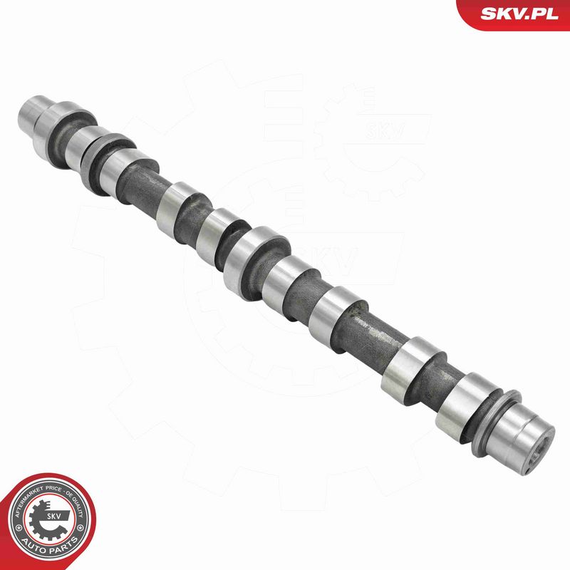 ESEN SKV 80SKV048 Camshaft