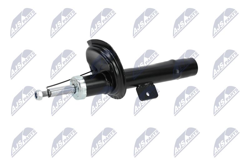Amort, NTY A-CT-020