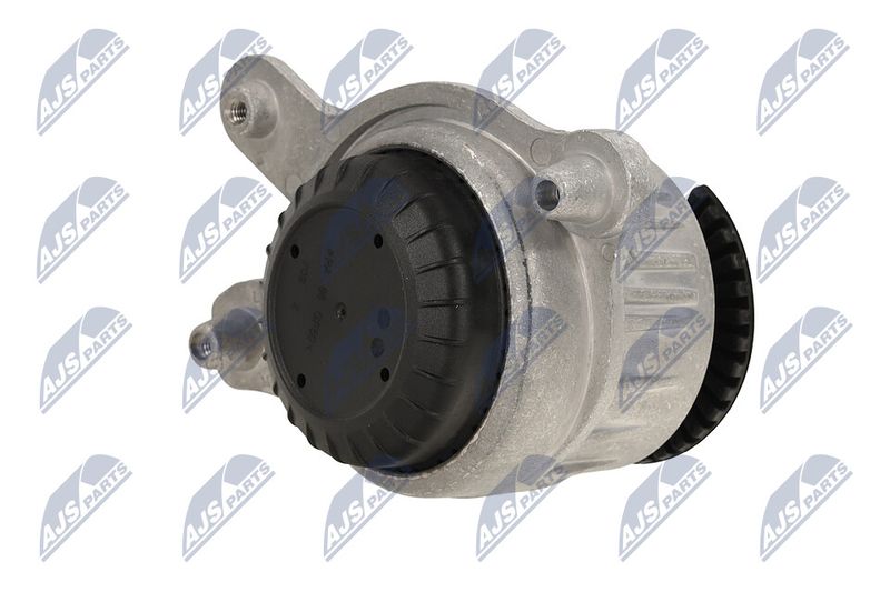 Paigutus, Mootor, NTY ZPS-ME-048