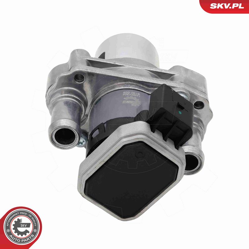 ESEN SKV 14SKV304 EGR Valve