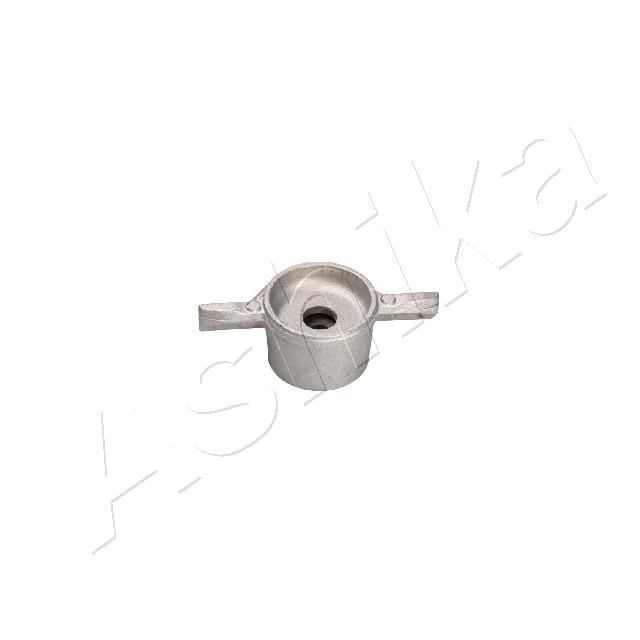 SMA0515_2.JPG