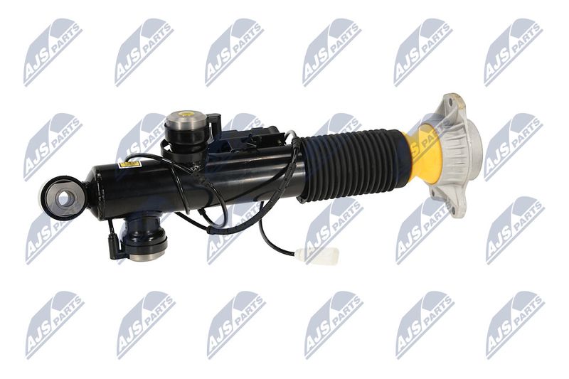 Amort, NTY A-BM-085
