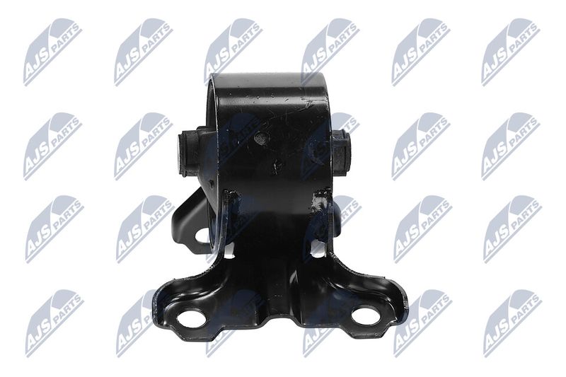 Paigutus, Mootor, NTY ZPS-CH-179