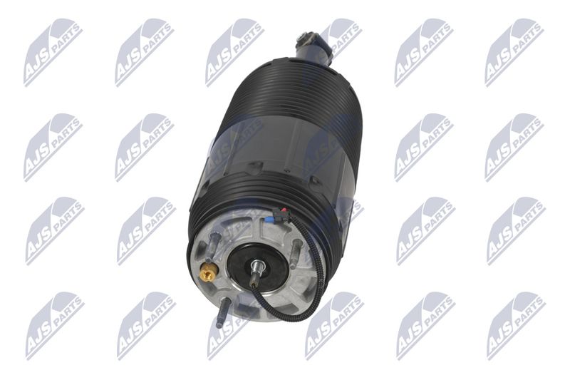 Amort, NTY A-CH-099