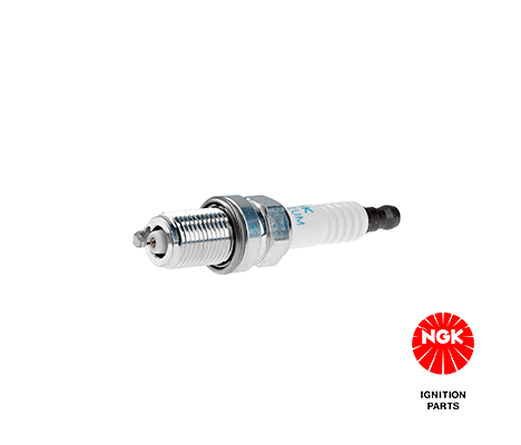 NGK 4895