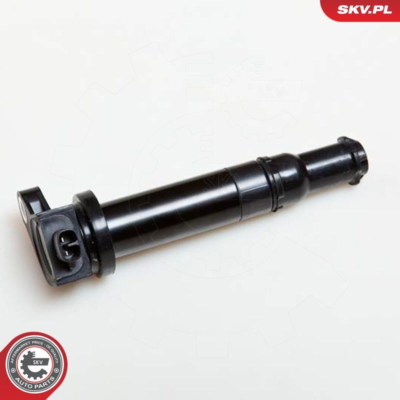 Süütepool, ESEN SKV 03SKV167