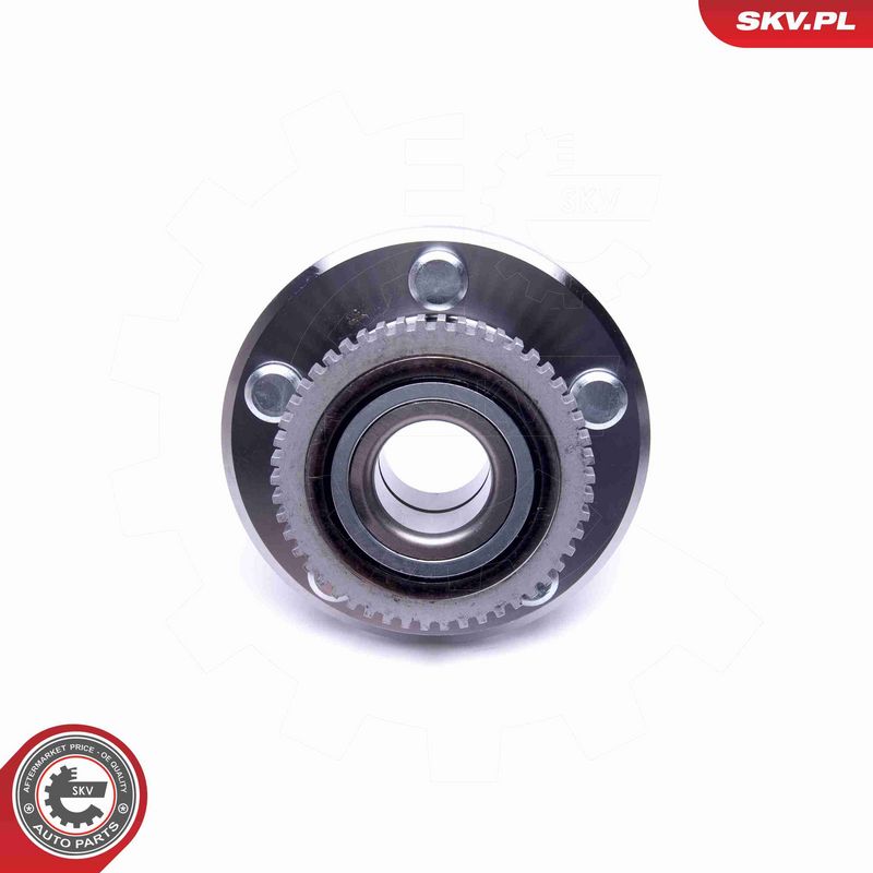 ESEN SKV 29SKV383 Wheel Bearing Kit