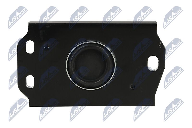 Paigutus, Mootor, NTY ZPS-PL-087