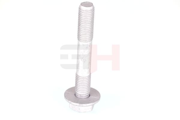 Kruvikomplekt, vedruamort-rattalaagrikorpus, GH GH-391561