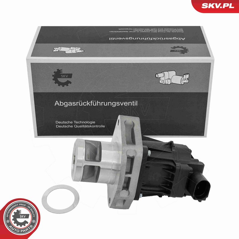 ESEN SKV 14SKV302 - EGR Valve