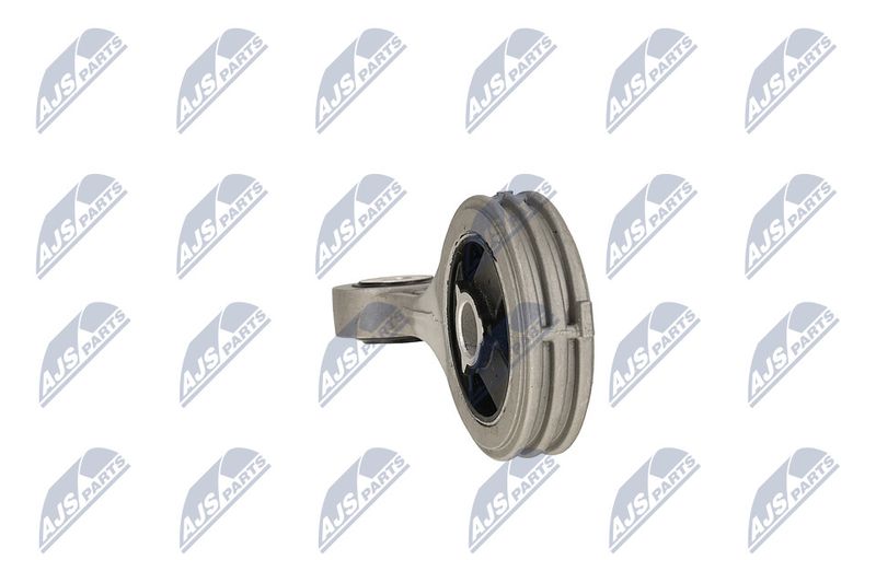 Paigutus, Mootor, NTY ZPS-FT-003