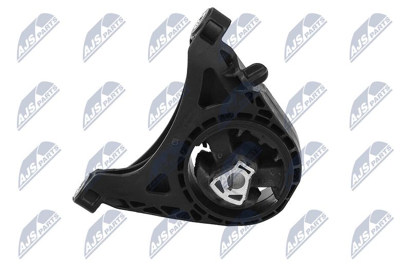 Paigutus, Mootor, NTY ZPS-PL-011