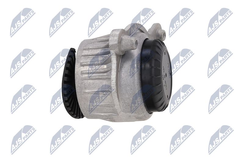 Paigutus, Mootor, NTY ZPS-ME-031