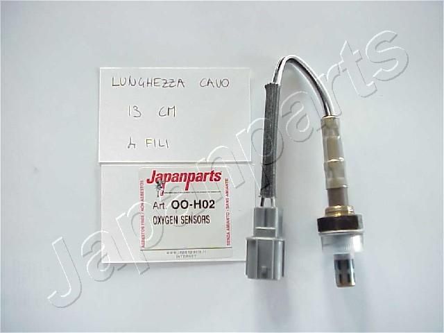 OO-H02_1.JPG