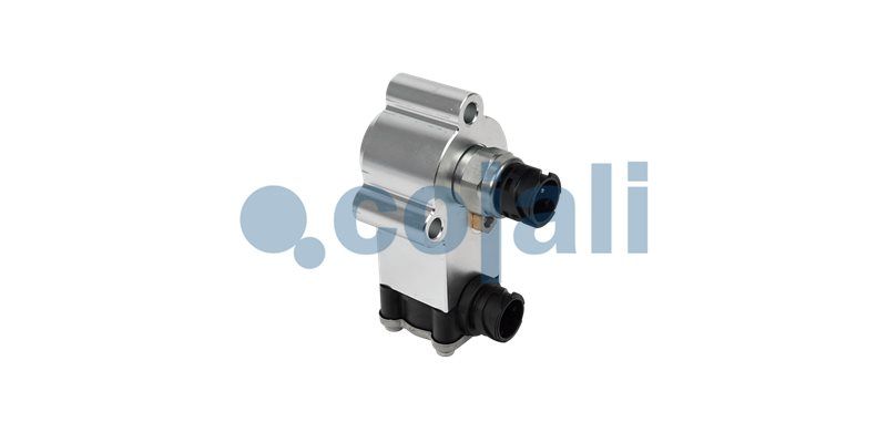 Cilindru de lucru COJALI 2816001