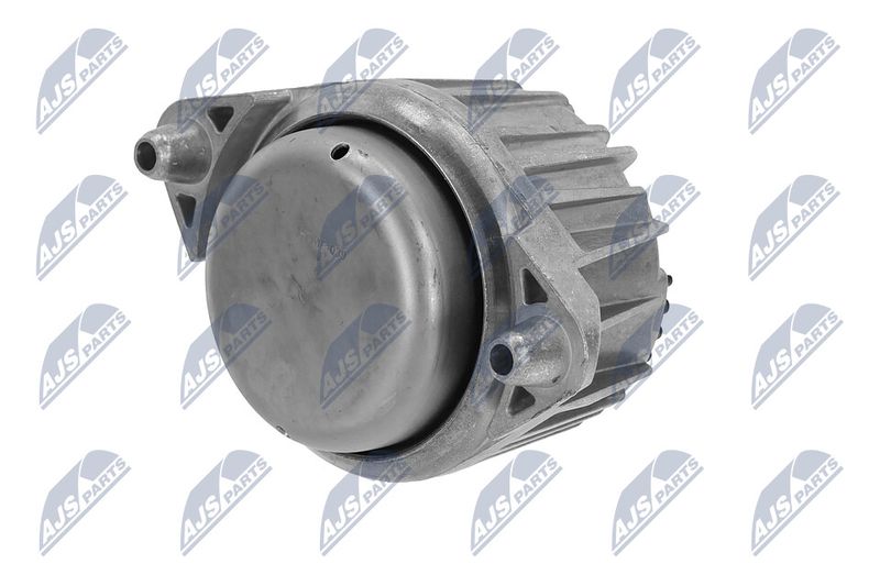 Paigutus, Mootor, NTY ZPS-ME-039