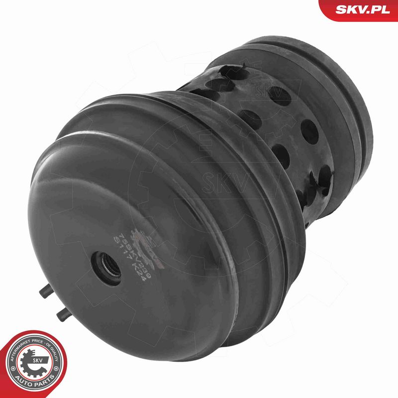 ESEN SKV 75SKV239 Mounting, engine