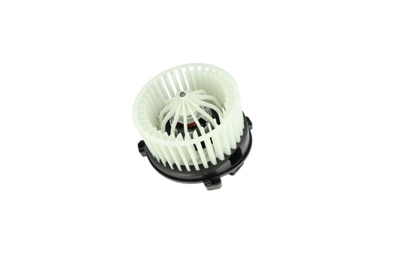 Salongipuhur, NRF 34168