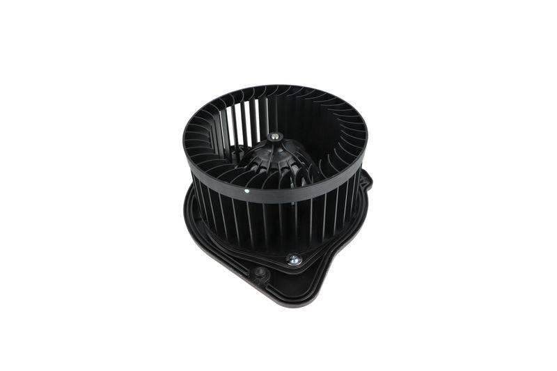 Salongipuhur, NRF 34136