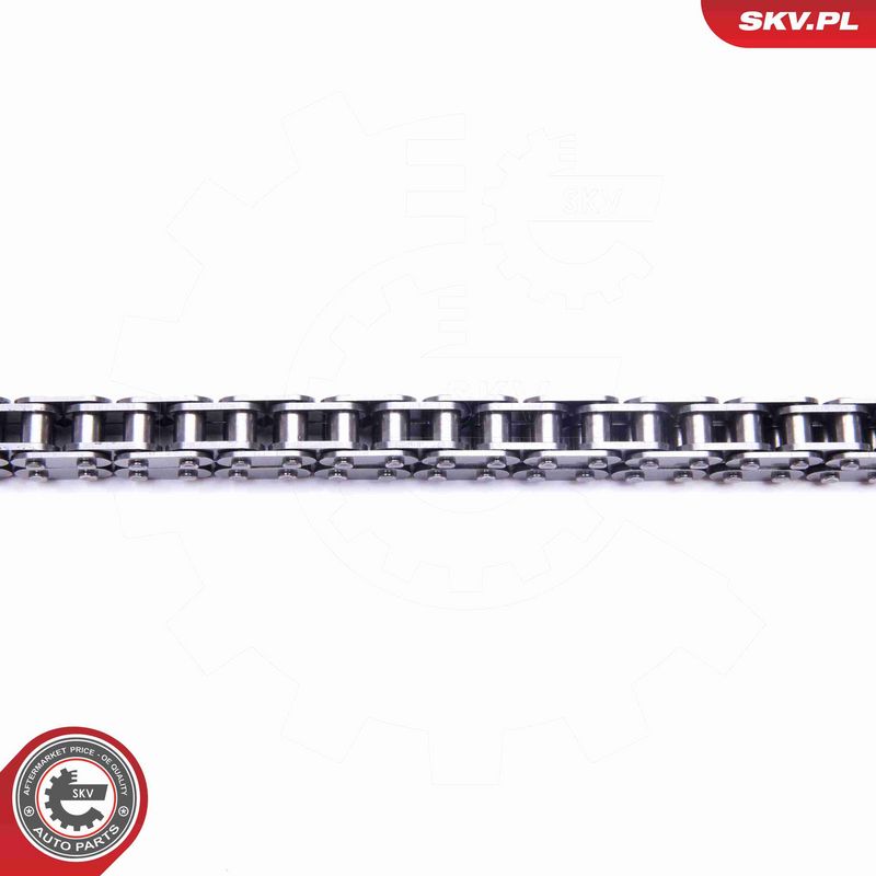 ESEN SKV 21SKV111 Timing Chain Kit