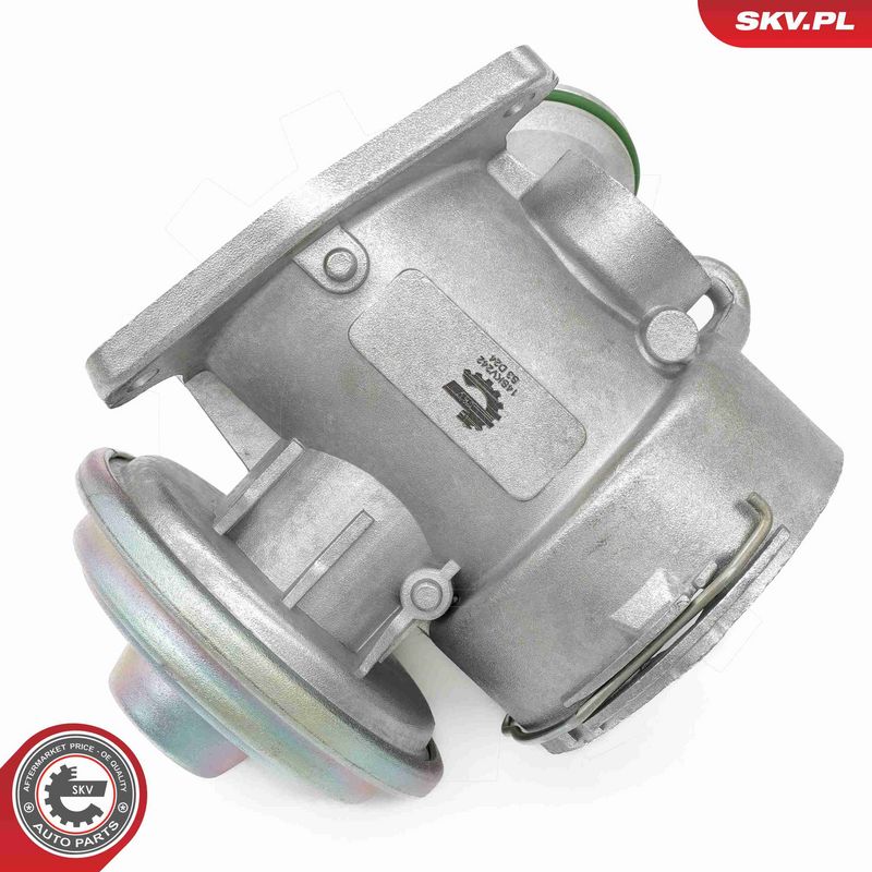 ESEN SKV 14SKV242 EGR Valve
