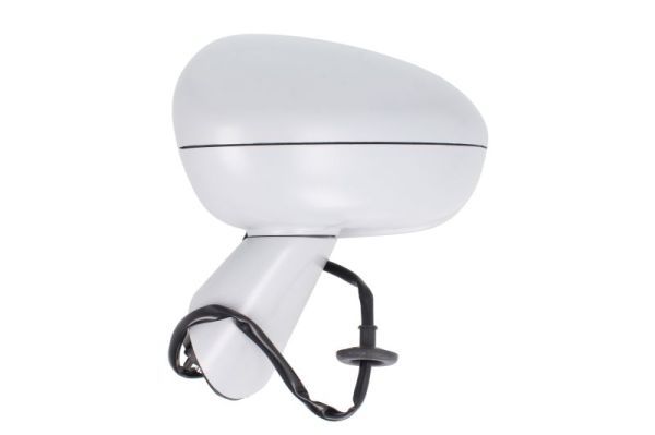 BLIC 5402-04-2002001P Exterior Mirror