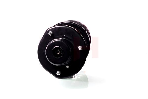 Vedruamort, GH GH-359321C02